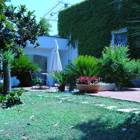 La Magnolia