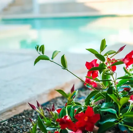 La Magnolia Bed & Breakfast