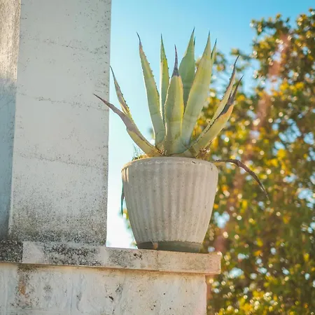 La Magnolia Bed & Breakfast *
