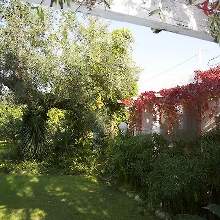 La Magnolia